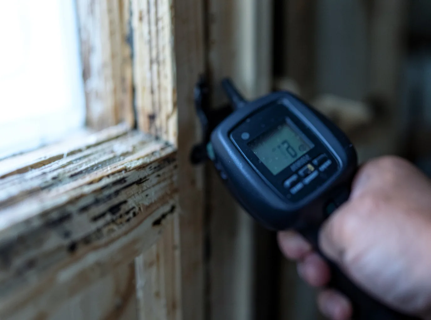 Moisture Inspection And Documentation in Taswell, IN